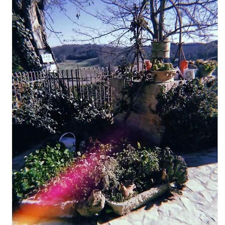 דירות סן ג'ימיניאנו La Casina Di Ancicucco 1 מראה חיצוני תמונה