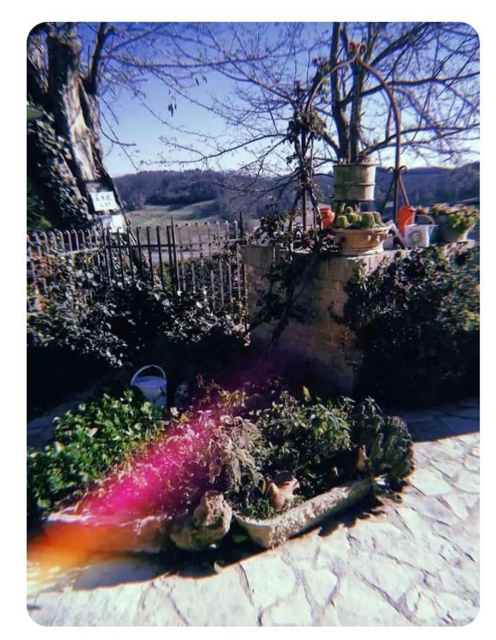 דירות סן ג'ימיניאנו La Casina Di Ancicucco 1 מראה חיצוני תמונה